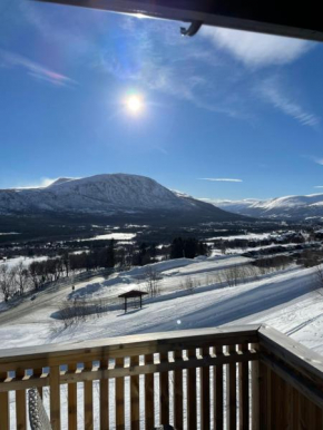 Privat apartment with beautiful view and two bedrooms